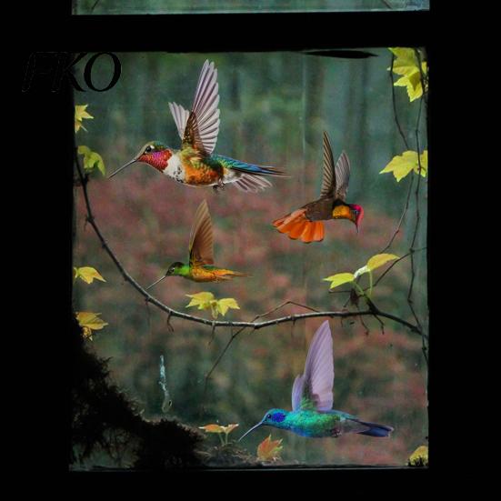 Window Bird Guard Hummingbird Clings, Protection Decals, Removable PVC Anti-Collision Static Stickers Strike Deterrent for Glass Doors And Windows,