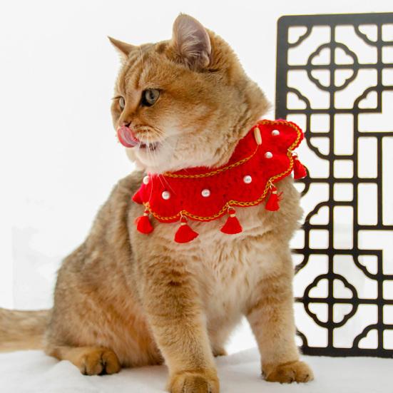 cheap kitten accessories