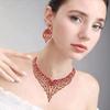 Exquisite Necklace Earring Set Fashion Clavicle Chain Europe America Style Jewelry Set  Women