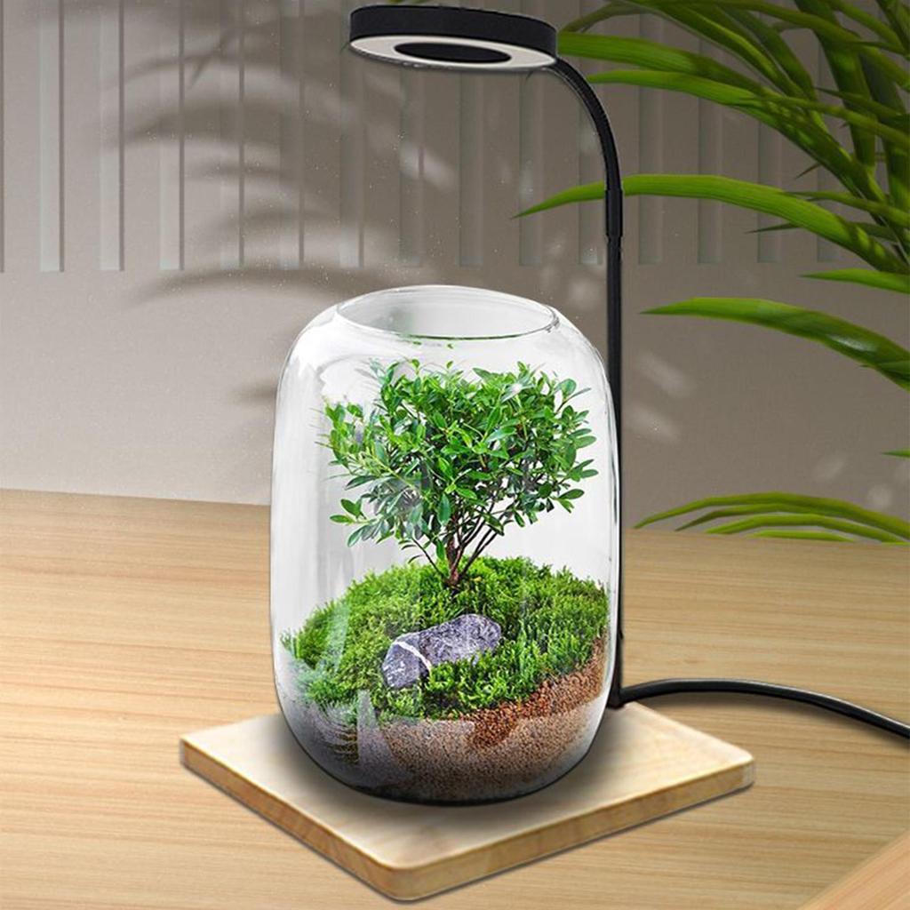 LED Plant Light Rotating Full Spectrum LED Lighting With Wooden Base Indoor Plants Grow Light Desktop For Home Study Office Desk