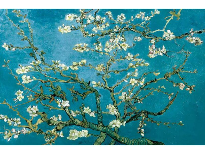Van Gogh's Starry Night Oil Canvas Wall Art for Bedroom & Living Room Decor
