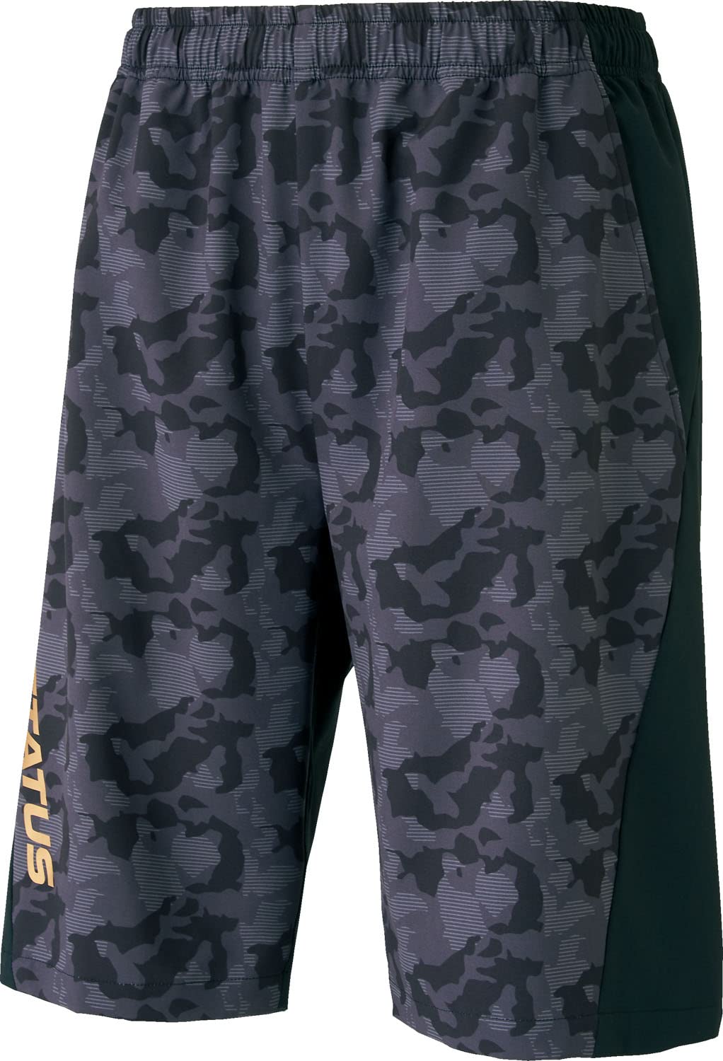 

ZETT Baseball Piste Shorts Pro Status Black L BP852HP (1900) чорний