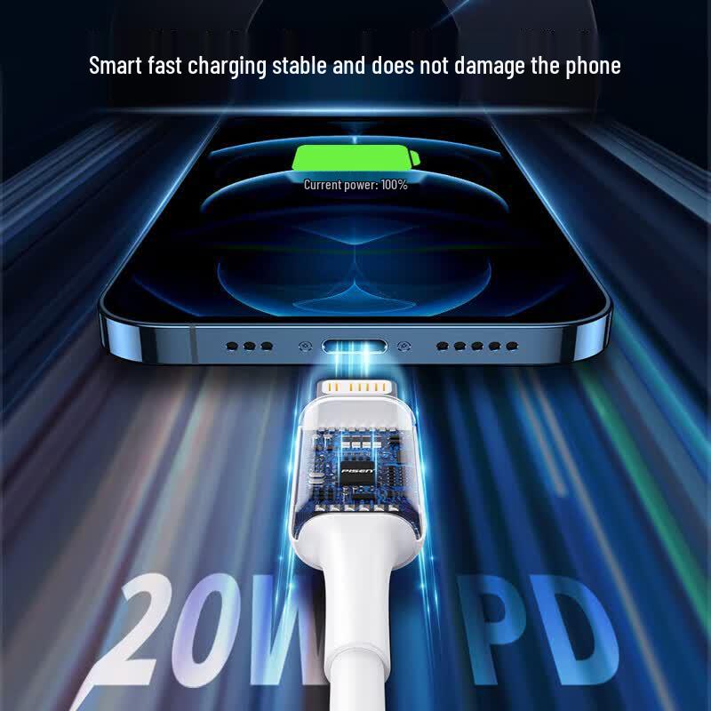 PISEN 65W GaN Multi-Port Charger Set
