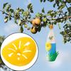 Wasp Trap Catcher Flower Shape Flying Insects Funnel Trap Bee Hornet Killer Garden Home Outdoor Pest Control Tool 1/5/10PCS
