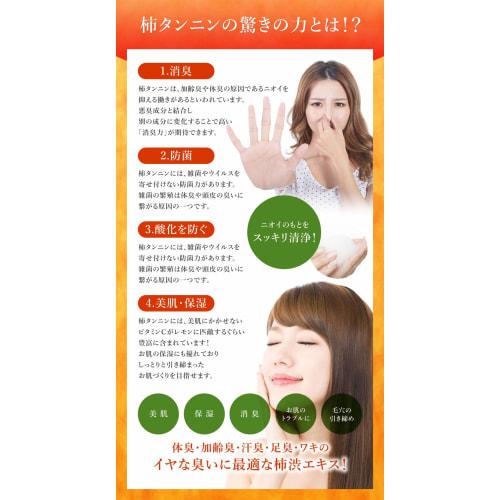 Kumano Yushi Seasonal Medicated Persimmon Shibu Rinse-in Shampoo Main Unit & Refill 1 Set