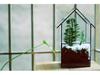 Geometric Glass Terrarium: Modern Succulent Planter & Home Decor for Coffee Shop Ornaments