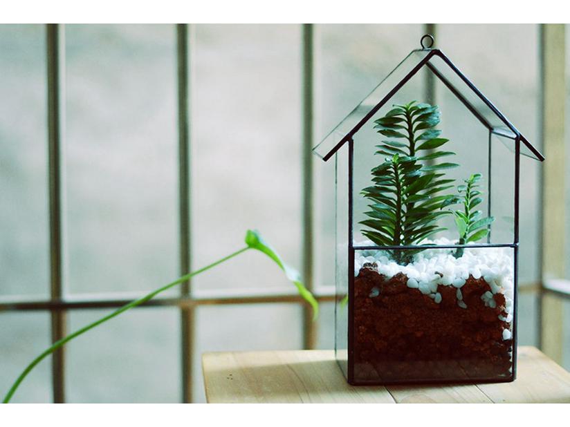 Geometric Glass Terrarium: Modern Succulent Planter & Home Decor for Coffee Shop Ornaments