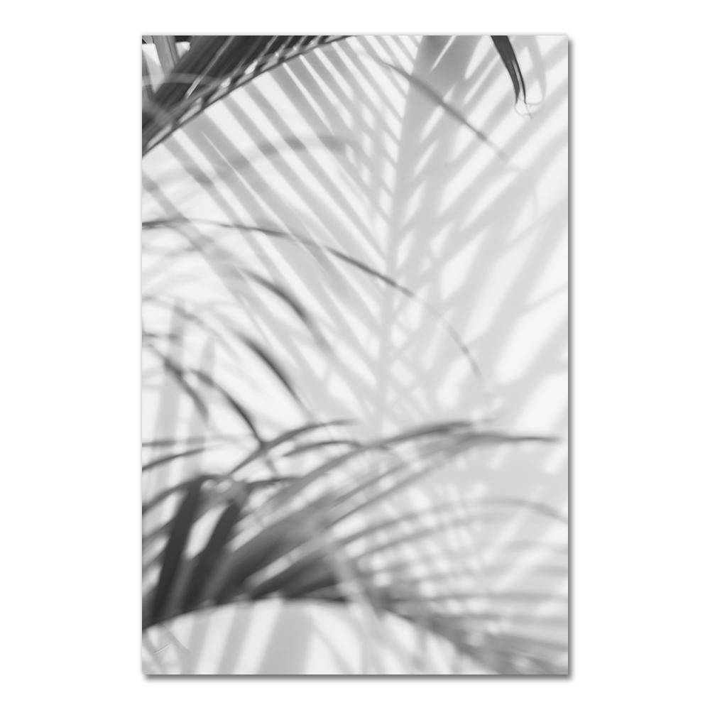 Posters Black And White Flower Print Fresh Wall Art Feather Dandelion Pictures Canvas Living Room Decoration Wall Paintings