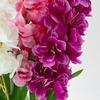 1 Branch Imitation Flower Anti-fade Decorative Multiple Layers Petals Elegant Simulation Larkspur Wedding Scene Layout Decoration
