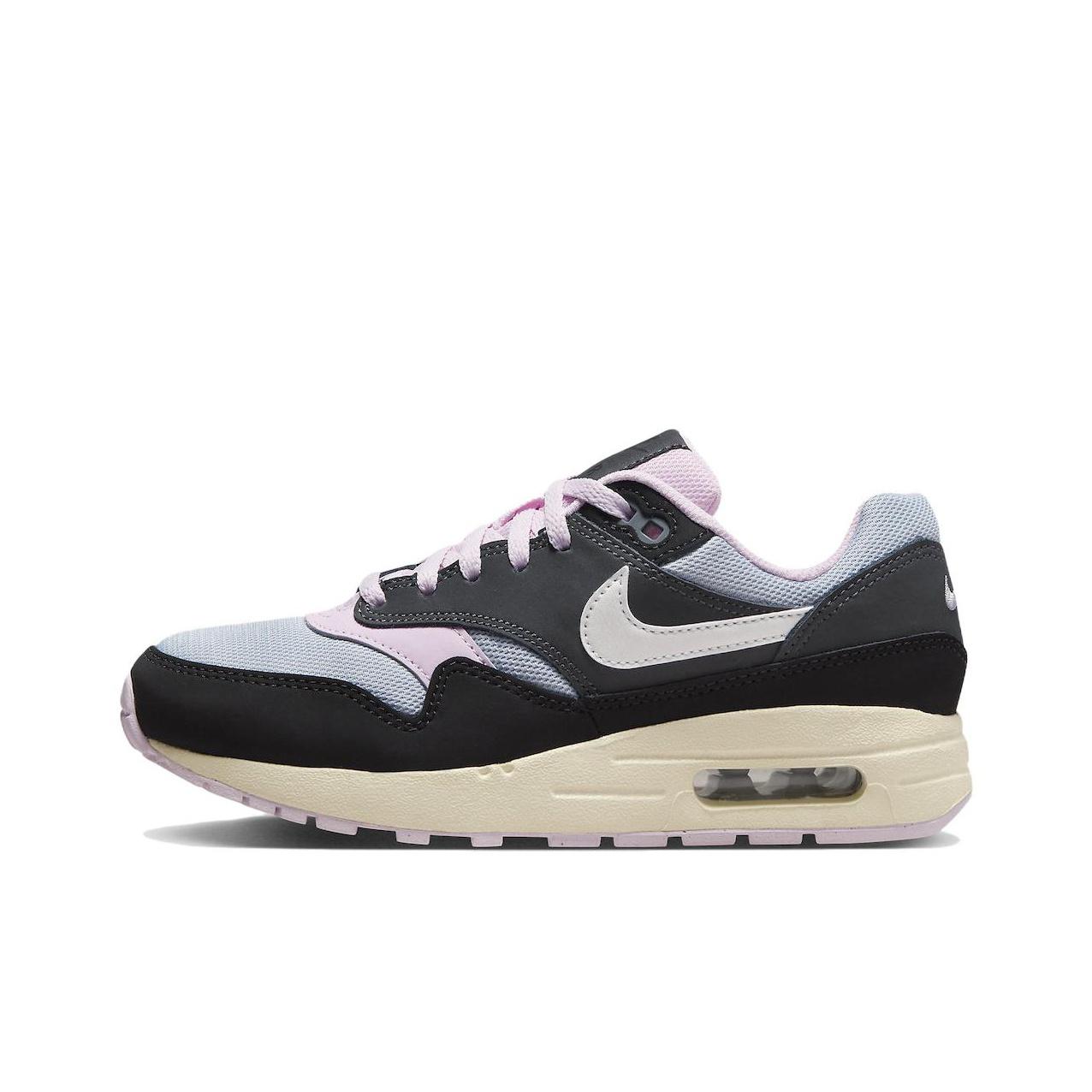 

кроссовки Nike Air Max 1 Lifestyle Shoes Women DZ3307-004