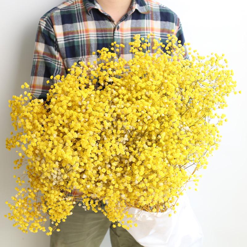 Eternal Gypsophila Bouquet: Color-Absorbing Ilocos Flowers for DIY Floral Arrangements and Wedding Decorations