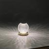 Creative Acrylic Spherical Table Lamp Bedroom Bedside Dimmable Night Desk Rechargeable for Bedroom Bar Restaurant Coffee Shop