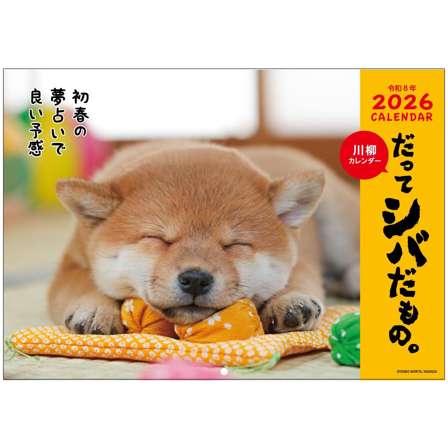 

Активная Корпорация 2026 Настенный Календарь Начинается с января 2026 (Потому что это Шиба) 26ACL-64