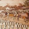 KINOWA "Kyoto Sanjo Ohashi Bridge" Wood Collage Original DIY Kit Ukiyo-e Hiroshige Fifty-three Stations of the Tokaido Made In Japan