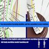 Human Acupuncture Model with Meridian Points Male Acupuncture Model Female Acupuncture Model with Numbered Chinese Point