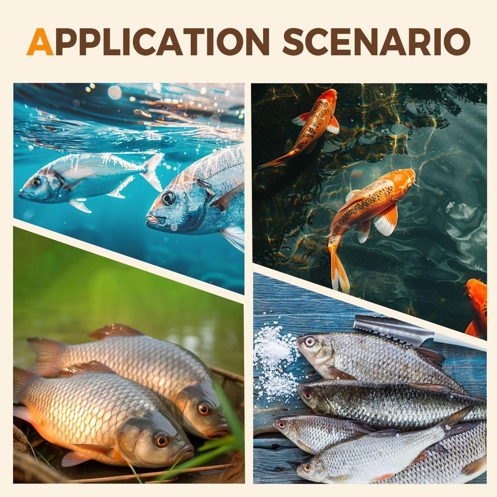 Küche Haushalt Fisch- Schuppen- Schaber Edelstahl Fisch- Schuppen Hobel Werkzeug
