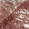 4mm Rhombus Loose Beads for DIY Jewelry: Bracelets, Necklaces, Earrings