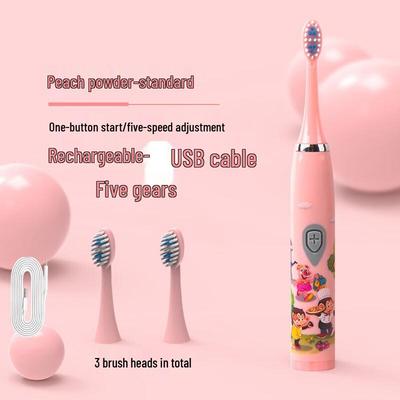 DSK Rechargeable Sonic Electric Toothbrush for Adults & Teens CN Plug (adapter Included)