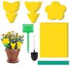 Accesorii de petrecere – Accesorii pentru ceremonii și petreceri