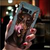Doberman Dog Animal Phone Case For Google Pixel 10 Pro 9 Pro XL 9A 8 7 6 Pro Pixel 8A 7A 6A Pixel 8 7 6 5
