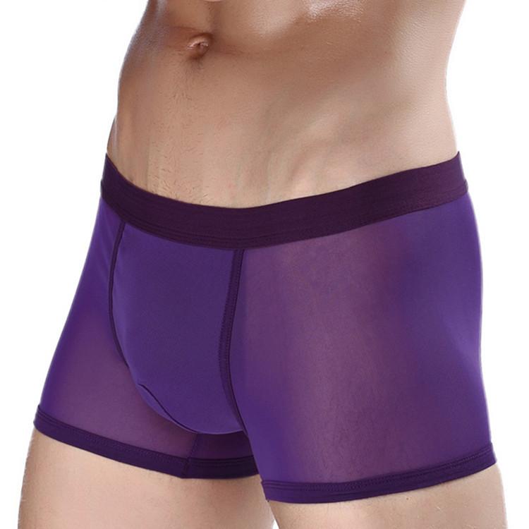 Men's Mesh Transparent Boxer Briefs Sexy Mesh Holes Hollow Breathable Four Corner Male Underwear Shorts