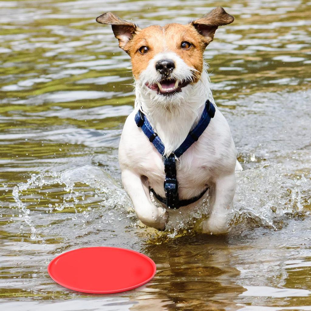 Outdoor Sports Durable Chew Pet Training Toy Interactive Dog Toys Resistance Bite Soft Rubber Toys Pet Flying Discs Dog Frisbeed