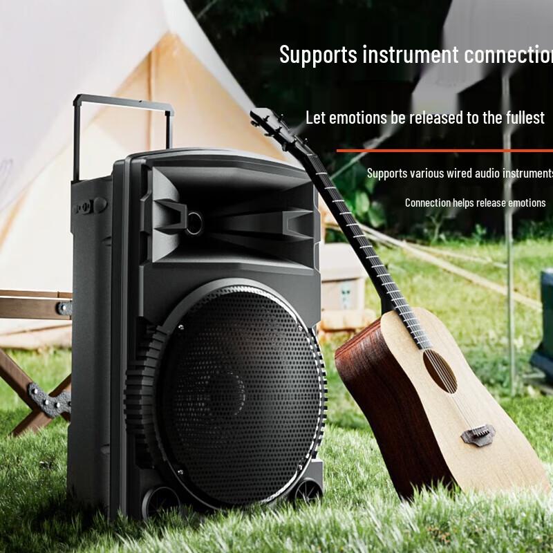 Newmine N521 Portable 12-inch Outdoor Karaoke Speaker with Dual Mics