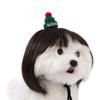 Are 10 Here Suggested Titles For The Pet Wig Product Based On The Information Provided