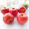 PrimeBlis Set of Food Realistic Artificial Photo Party Showcase Decorations Apples, 5, Samples, Replicas, Fruits, Accessories, Models, Display, Props,