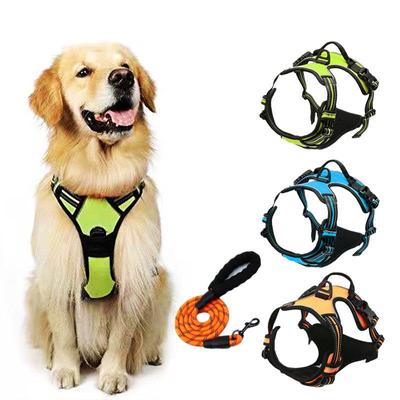 Reflective Double-Layer Dog Harness & Leash Set with Buckle Collar