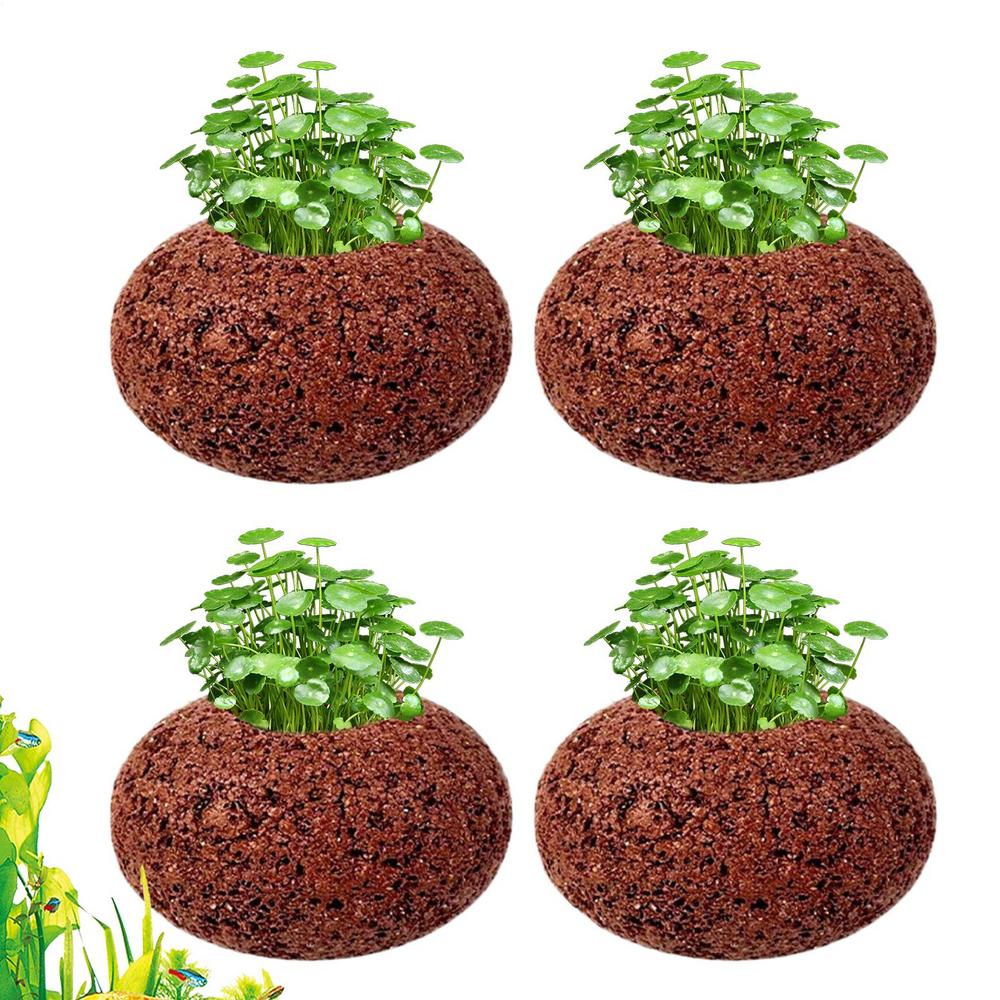 Aquarienpflanzen-Gewichte Ovaler Ring Anti-Schwimmende Wasserpflanzen Fixierungsringe Für Süßwasser-Garnelen-Teich Pool Zucht