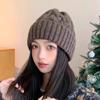 Winter Wool Hat Women's Warm Fashion Twist Knitted Hat