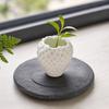 Deko & Wohnaccessoires – Künstliche Blumen & Kränze