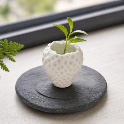 3D Printed Flower Pot Mini Planter Realistic Strawberry
