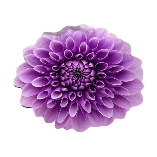 3D Blume Plüsch Bodenmatte Waschbar Rutschfest Bereichsteppich Saugfähig Schnelltrocknend Wohnzimmer Schlafzimmer Badezimmer Küche Dekoration Teppich