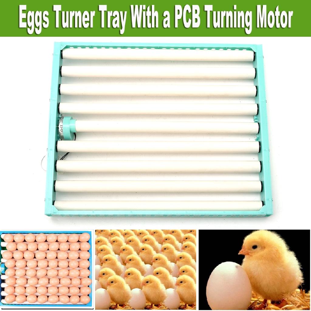 360 Degree Chicken Eggs Turner Automatic Incubator Farm Incubation Tray Tools Duck Quail Bird Poultry Eggs Supplies Blue