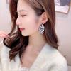 New FashionFashion Jewelry New Zircon Inlaid Banquet Dress With Earrings Women 'S Luxury High -End Water Drop Tassel Earrings
