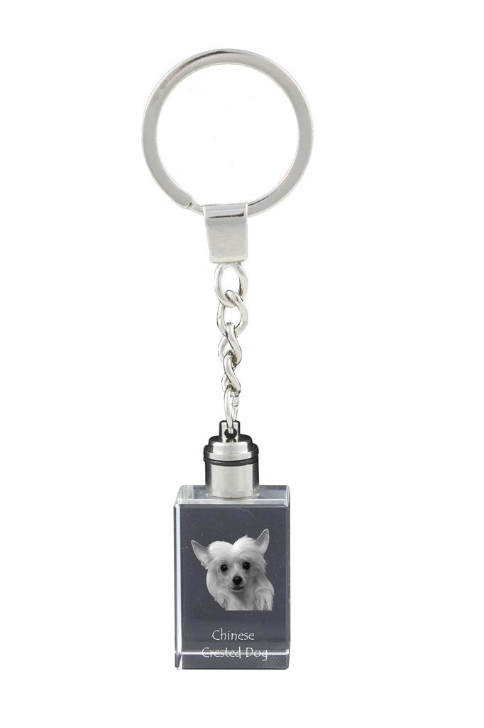 Chinesischer Schopfhund, Puff - Kristall-Schlüsselring mit Hundefoto, beleuchteter Schlüsselanhänger, einzigartiges Geschenk der Marke Art-Dog