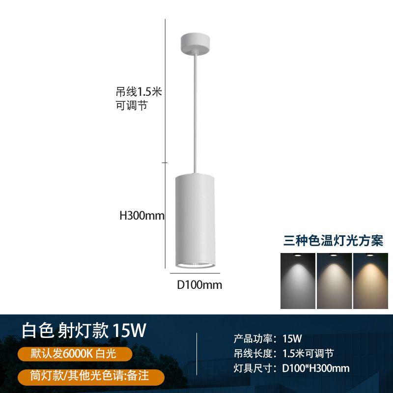 Modern Ceiling Light Pendant Lamp for Living Room Dining Room Kitchen Restaurant Chandelier Decor