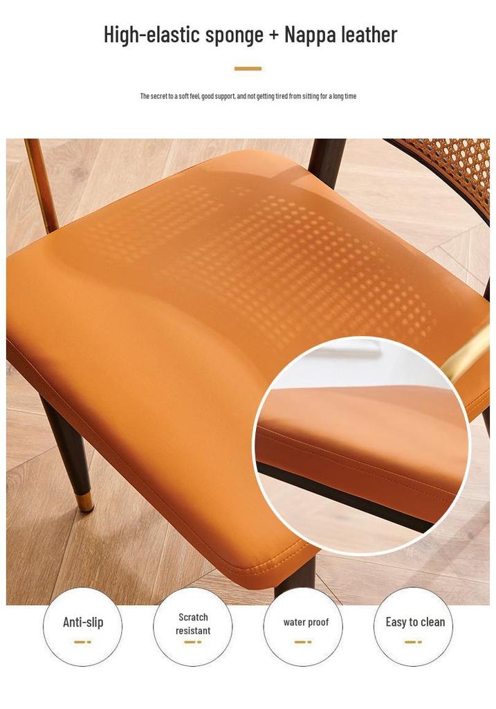 Nordic Light Luxury Wrought Iron Rattan Dining Chair - European Style for Home, Hotel, Cafe, or Leisure.