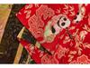 Chinese-Style Children's Clothing: Panda Jacquard, New Year Costume, Tang Suit Brocade Fabrics