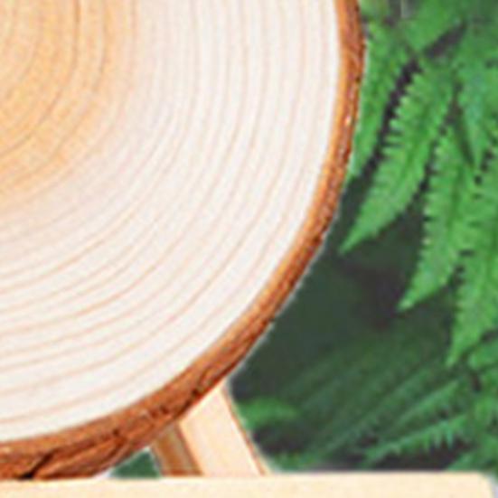 10 szt./zestaw Plasterki drewna Lekkie Twarde Okrągłe Niewykończone Kawałki Kory Sosnowej do Domu