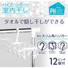 KOKUBO Industries PH Slim Square Hanger with 12 Pinch Clips, KL-076