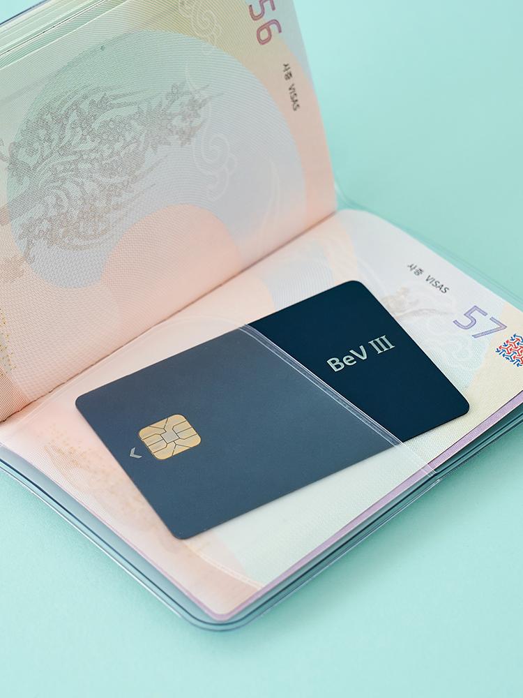 Minini Ice Cream Chichini Passport Wallet