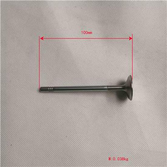 Compatible with Foton Intake Valve SPV10001497E9300