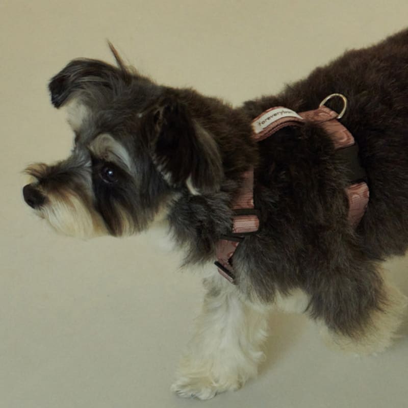 Foreverybari Marble Heart Harness (Chocolate)