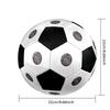 AFC Ajax Soccer Ball Colorful All Ages Machine Stitched PVC Competition Ready Durable High-Bounce.SIZE5