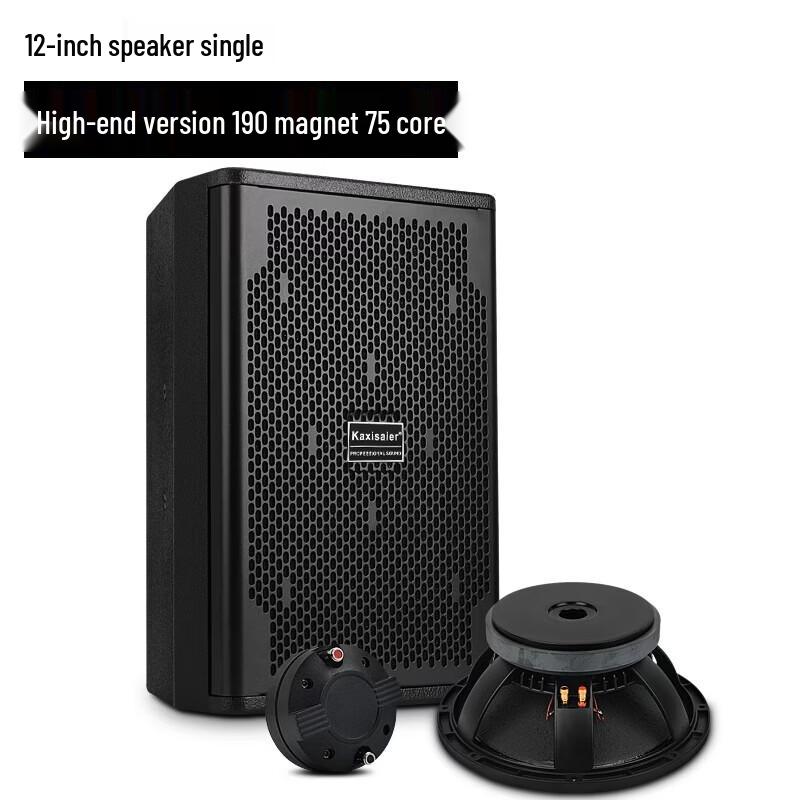 KAXISAIER Professional Full-Range Passive Speaker CN Plug (adapter Included)