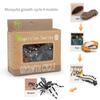 Toys Model Educational Simulated Animal Card Set Insect Plant Growth Cycle Cognitive Montessori Parish Home Open Learning Kids
