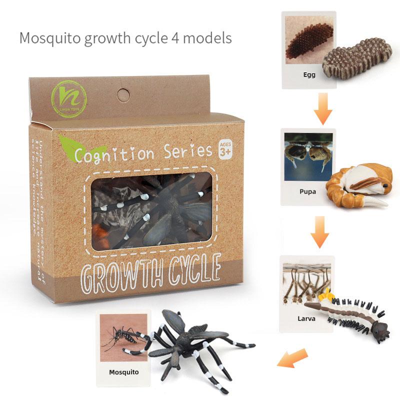 

Дитячі Монтессорі Іграшки Тварини Набір Карт Життєвий Цикл Росту Жаба Метелик Сонечко Черепаха Рослина Модель STEM Навчальні Іграшки